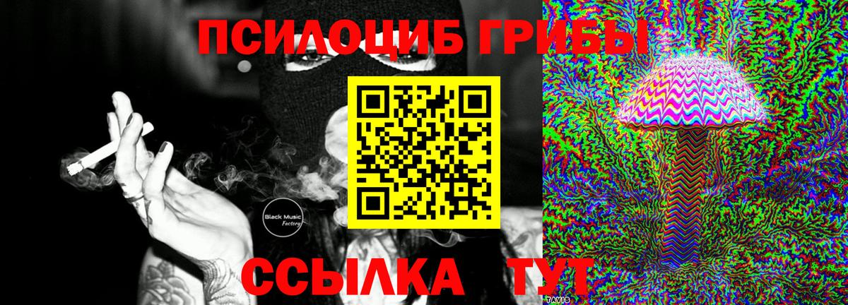 Галлюциногенные грибы Cubensis Усть-Лабинск